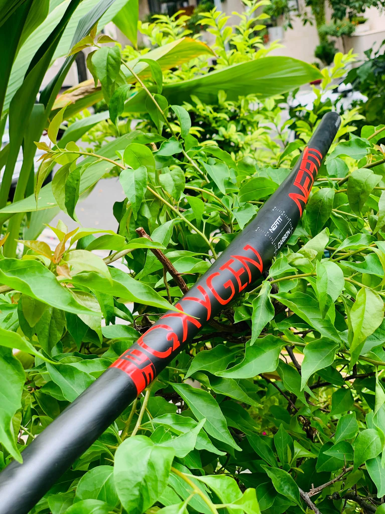 Ghi đông Neatt Oxygen Carbon 740mm - Phi 31.8mm